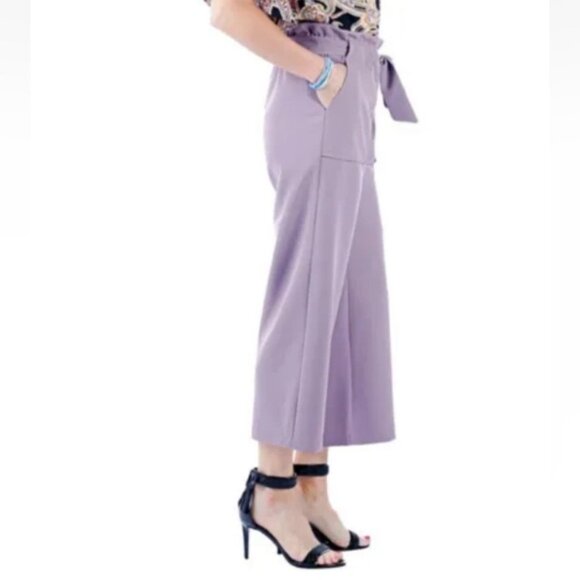 NEW Artizan Robin Barre Ivory Cropped Paper Bag Waist Pant Size 3XL (bin 1W) - Picture 3 of 5